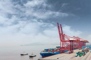 攜手諾丁漢卓越燈塔計劃，寧諾人工智能實驗室啟航 賦能國際貨物運輸代理創新